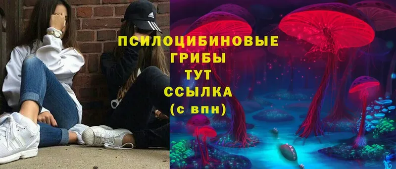 Псилоцибиновые грибы Magic Shrooms  Тарко-Сале 